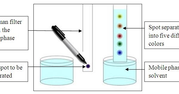 Paper Chromatography of Inks
